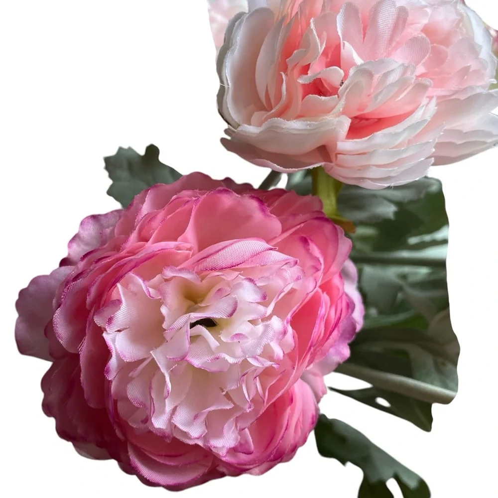 PEONIES Pink and White Floral rosy Peony Arrangement in ceramic matte white vase